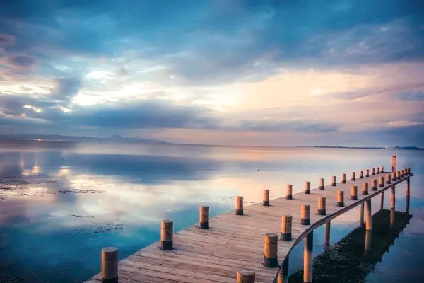 温岭美食教程舞蹈